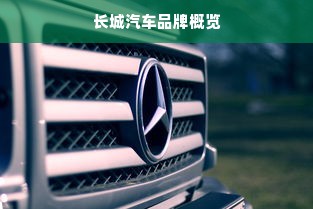 长城汽车品牌概览