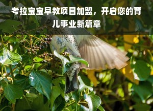 考拉宝宝早教项目加盟，开启您的育儿事业新篇章