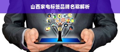 山西家电标签品牌名称解析