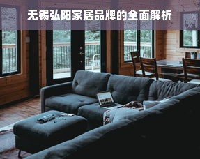 无锡弘阳家居品牌的全面解析