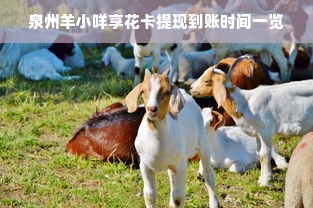 泉州羊小咩享花卡提现到账时间一览