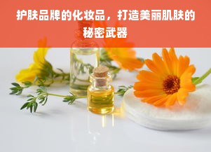 护肤品牌的化妆品，打造美丽肌肤的秘密武器