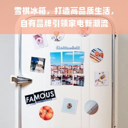 雪祺冰箱，打造高品质生活，自有品牌引领家电新潮流