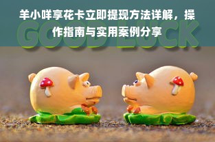 羊小咩享花卡立即提现方法详解，操作指南与实用案例分享
