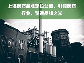 上海医药品牌定位公司，引领医药行业，塑造品牌之光
