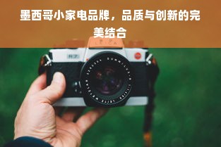 墨西哥小家电品牌，品质与创新的完美结合