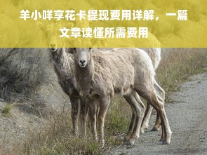淮南白酒十大品牌盘点，品味历史，尽享佳酿