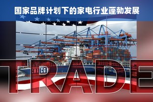 国家品牌计划下的家电行业蓬勃发展