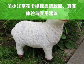 羊小咩享花卡提现靠谱攻略，真实体验与实用建议
