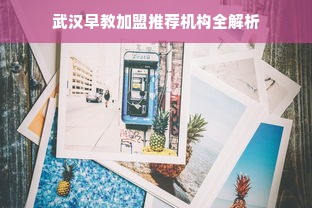 武汉早教加盟推荐机构全解析