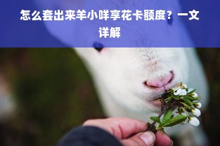 轻松解决京东白条额度提现难题