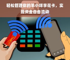轻松管理你的羊小咩享花卡，实现资金自由流动