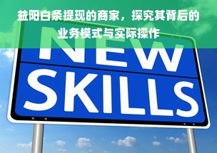 益阳白条提现的商家，探究其背后的业务模式与实际操作