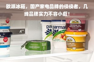 欧派冰箱，国产家电品牌的佼佼者，几线品牌实力不容小觑！