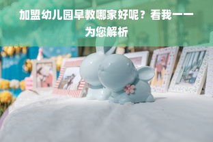 加盟幼儿园早教哪家好呢？看我一一为您解析