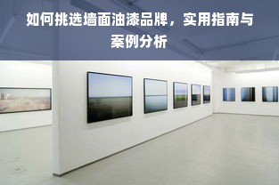 如何挑选墙面油漆品牌，实用指南与案例分析
