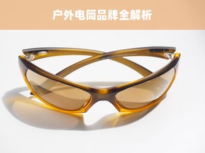 羊小咩便荔卡额度提现商家解析—为何额度少，如何提升？