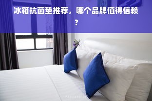 冰箱抗菌垫推荐，哪个品牌值得信赖？