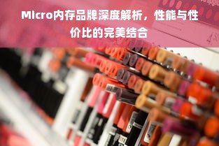 Micro内存品牌深度解析，性能与性价比的完美结合