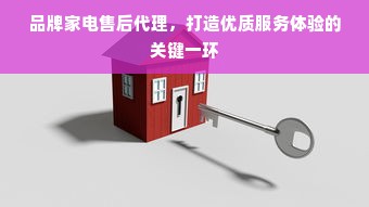 品牌家电售后代理，打造优质服务体验的关键一环