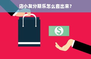 店小友分期乐怎么套出来？