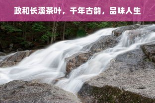政和长溪茶叶，千年古韵，品味人生