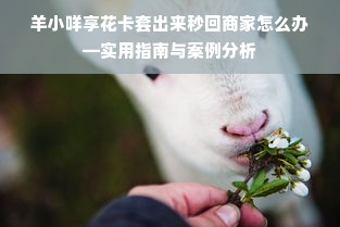 羊小咩享花卡套出来秒回商家怎么办—实用指南与案例分析