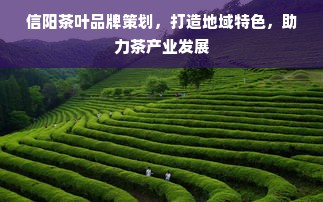 信阳茶叶品牌策划，打造地域特色，助力茶产业发展