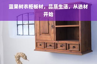 蓝果树衣柜板材，品质生活，从选材开始
