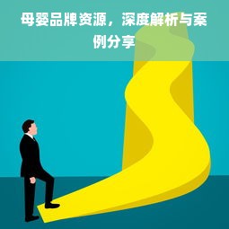母婴品牌资源，深度解析与案例分享