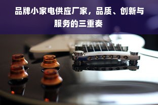 品牌小家电供应厂家，品质、创新与服务的三重奏