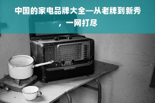 中国的家电品牌大全—从老牌到新秀，一网打尽