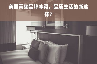 美国高端品牌冰箱，品质生活的新选择？