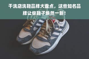 干洗店洗鞋品牌大盘点，这些知名品牌让你鞋子焕然一新！