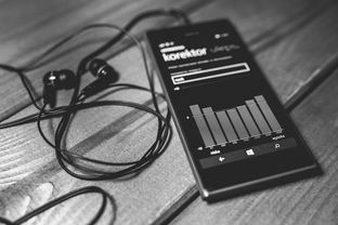 怎样提现抖音月付冻结的钱？详细步骤与案例解析