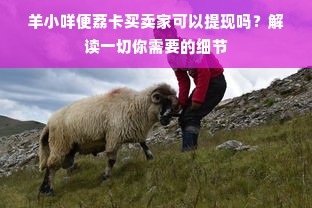羊小咩便荔卡买卖家可以提现吗？解读一切你需要的细节