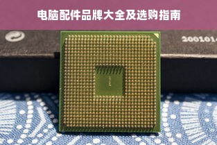 羊小咩便荔卡额度提现攻略，商家操作指南与案例解析