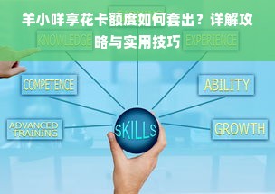 羊小咩享花卡额度如何套出？详解攻略与实用技巧