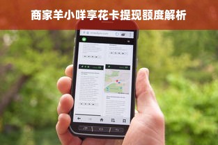 商家羊小咩享花卡提现额度解析
