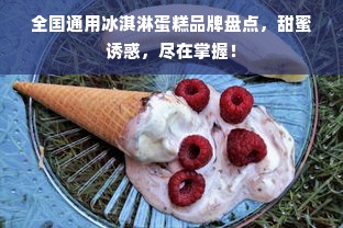 全国通用冰淇淋蛋糕品牌盘点，甜蜜诱惑，尽在掌握！