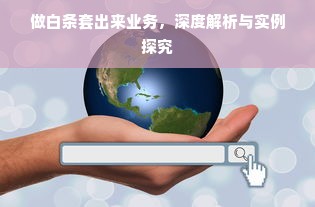 做白条套出来业务，深度解析与实例探究