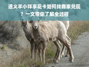 遵义羊小咩享花卡如何找商家兑现？一文带你了解全过程