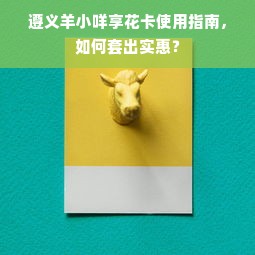 遵义羊小咩享花卡使用指南，如何套出实惠？