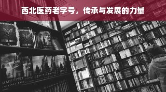 西北医药老字号，传承与发展的力量