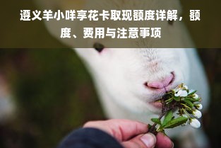 遵义羊小咩享花卡取现额度详解，额度、费用与注意事项