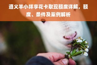 遵义羊小咩享花卡取现额度详解，额度、条件及案例解析