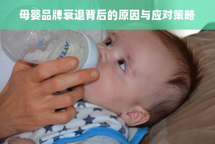 母婴品牌衰退背后的原因与应对策略