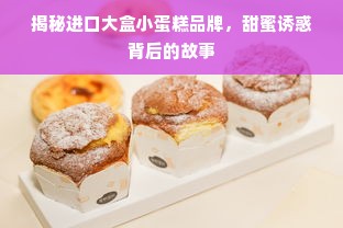 揭秘进口大盒小蛋糕品牌，甜蜜诱惑背后的故事