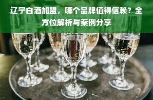 辽宁白酒加盟，哪个品牌值得信赖？全方位解析与案例分享