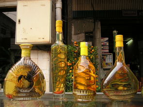 全球知名白酒品牌大盘点，品味世界美酒文化